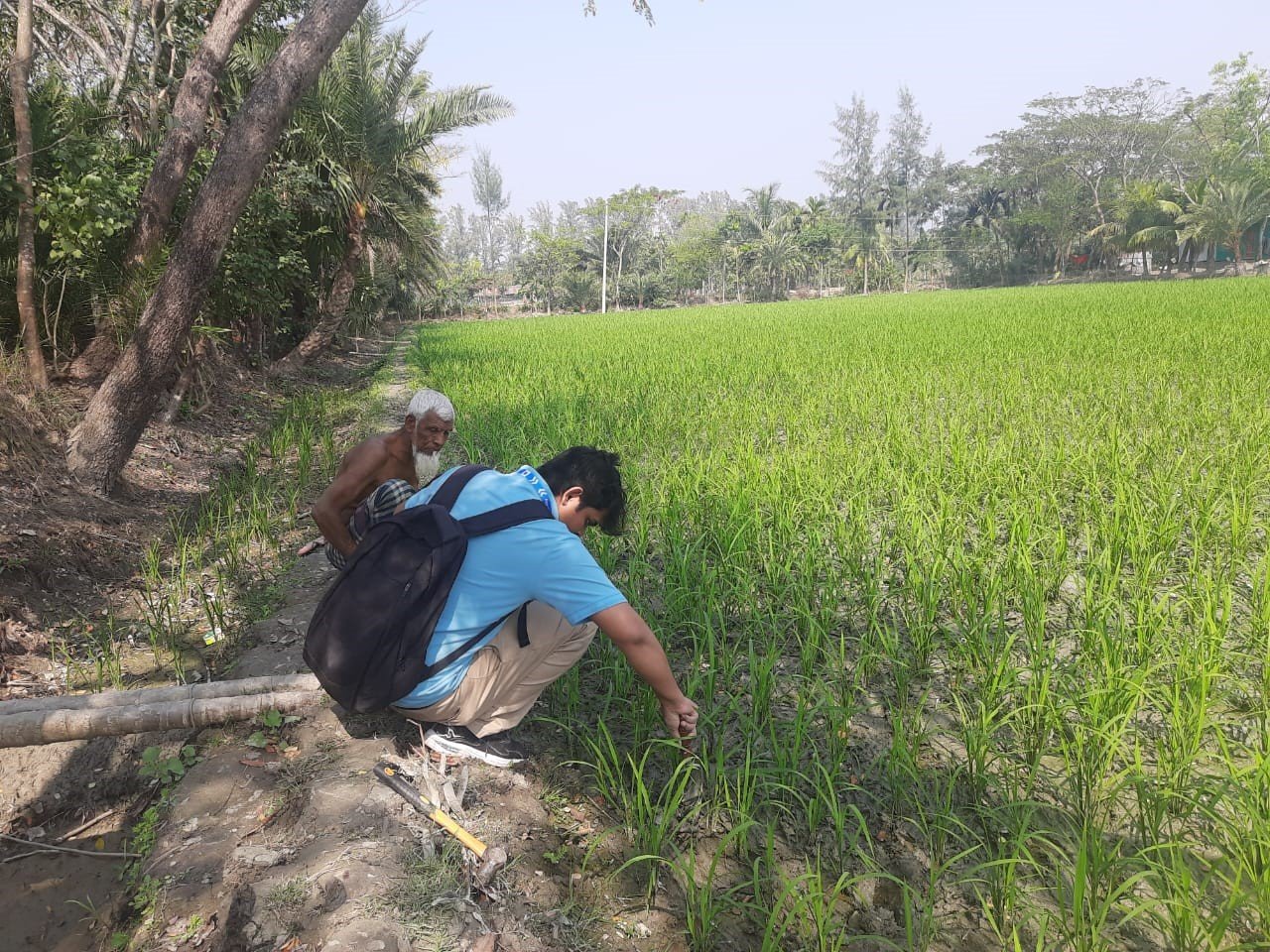 NSTU’s CATA Earth Team Uncovers Alarming Soil and Water Quality Issues in Hatiya